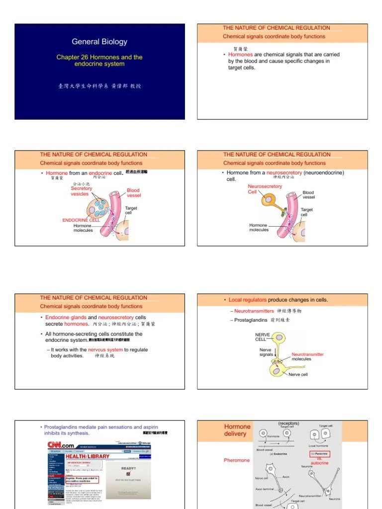 Ch26 Hormones and The Endocrine System PDF Cell Signaling Endocrine System