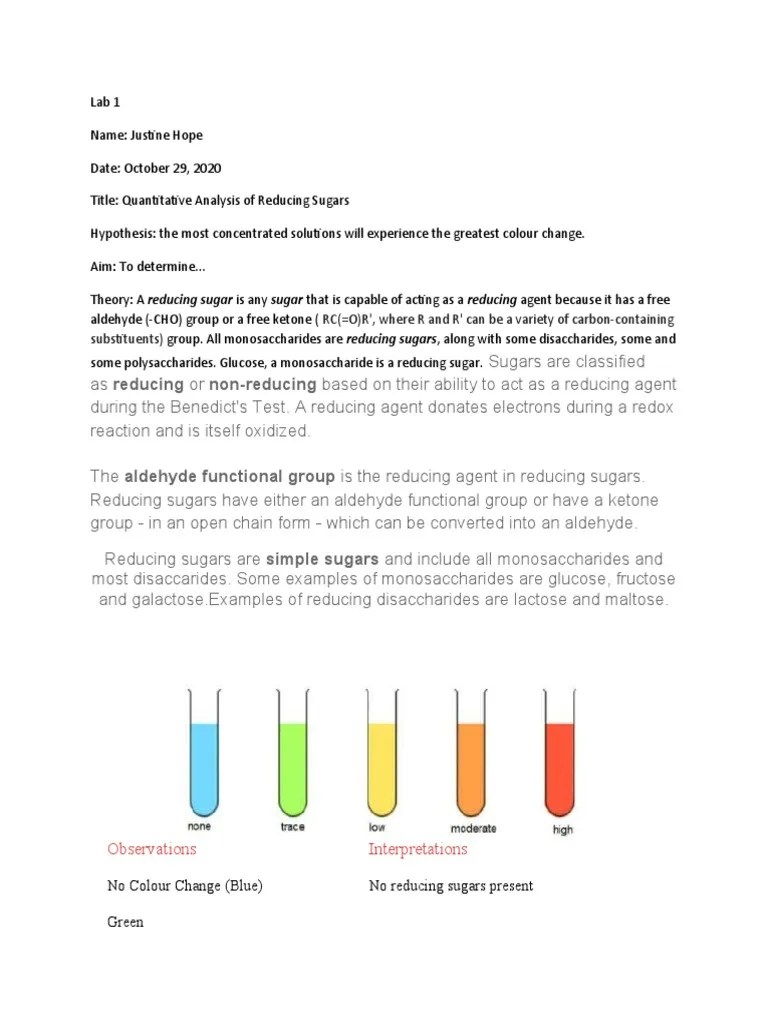 Lab 1 | PDF | Carbohydrates | Atoms