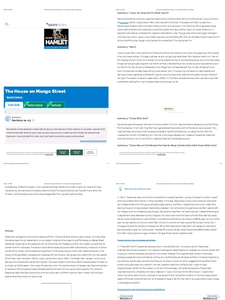 The House On Mango Street Sections 1013 Summary & Analysis