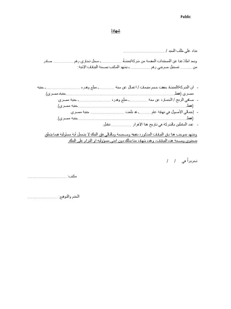 Audited Sales Declaration Template PDF