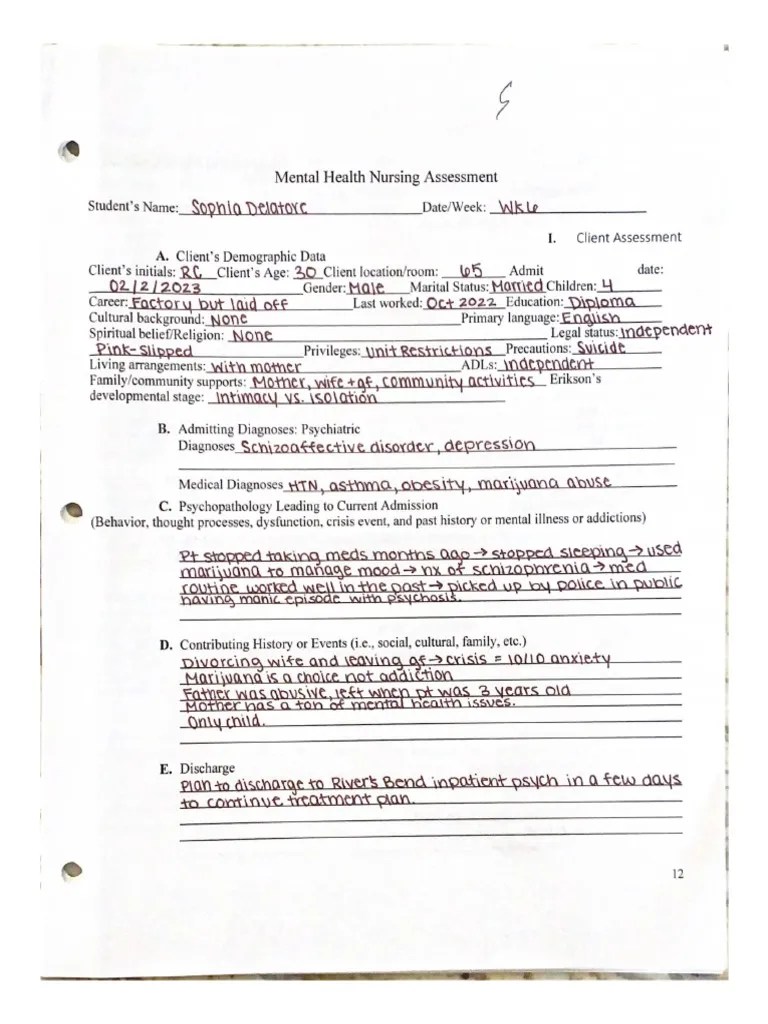 Mental Health Nursing Assessment PDF