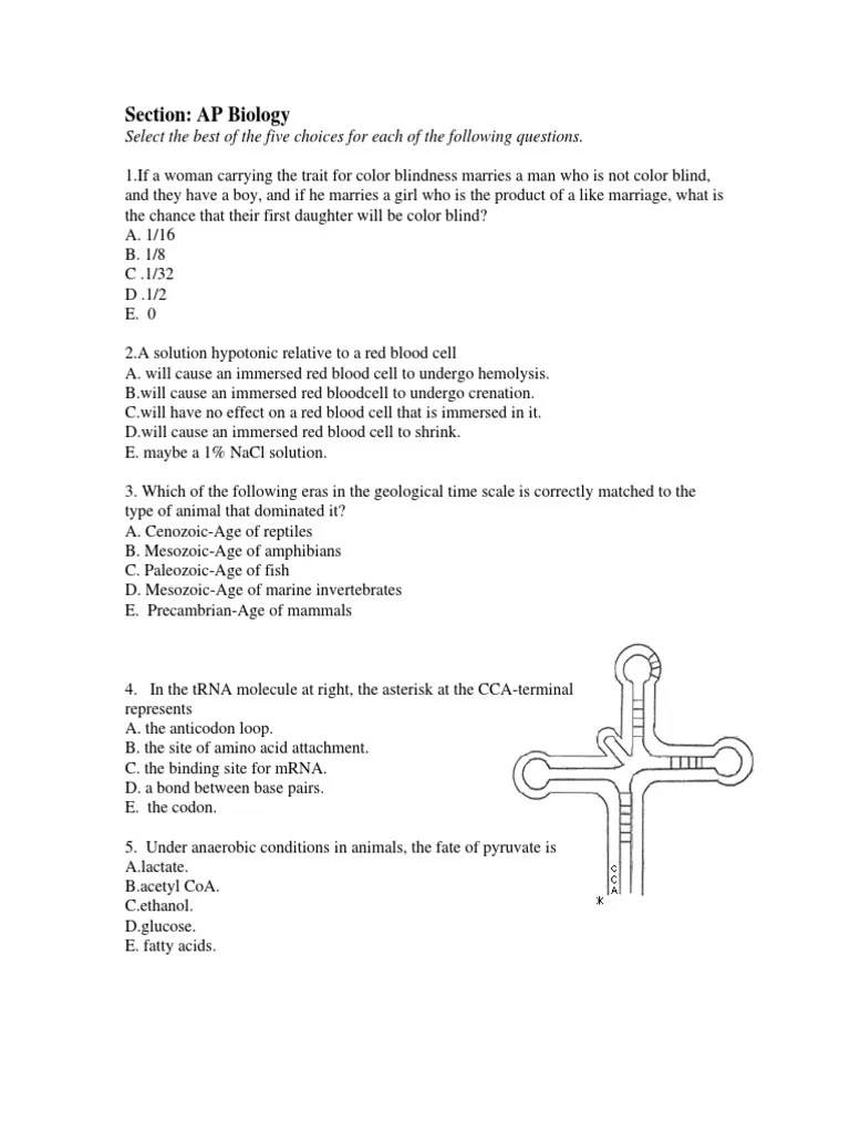Learning Express AP Biology Exam 1 PDF Cell (Biology) Spore