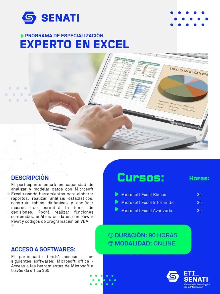 Experto en Excel PDF