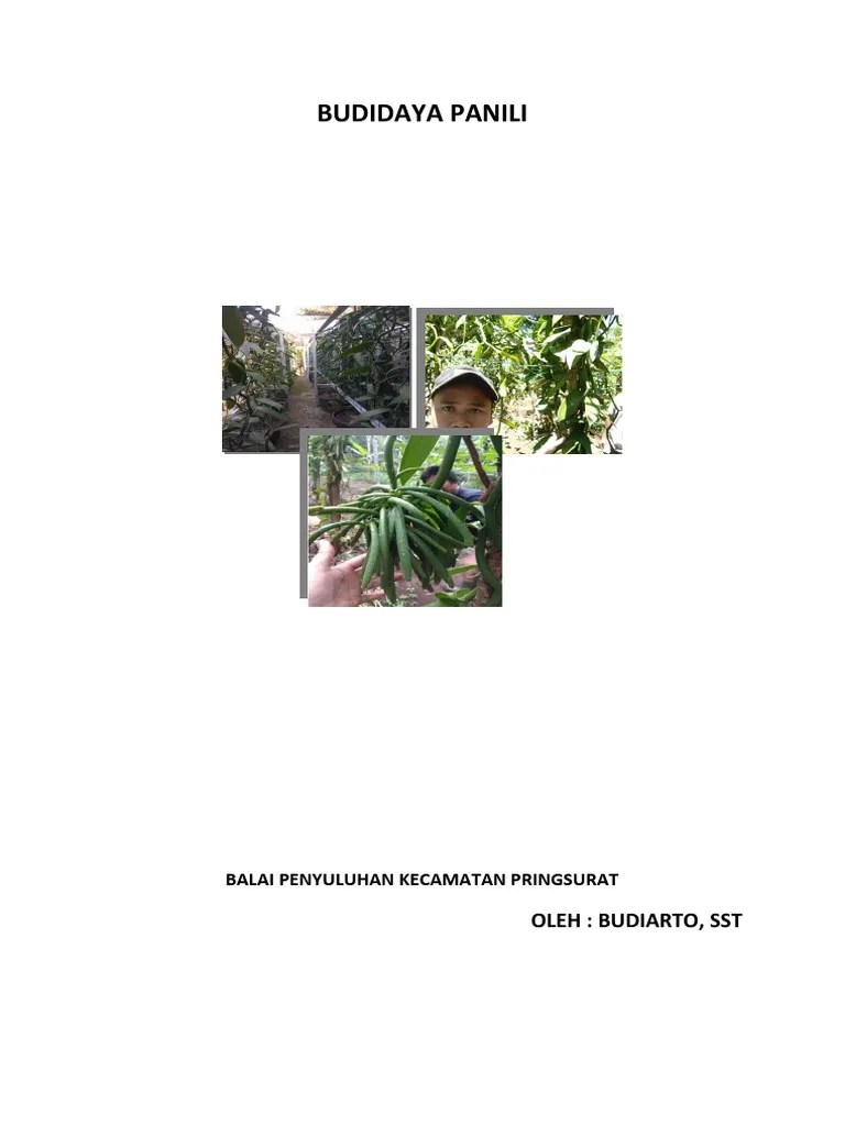 Budidaya Vanili PDF