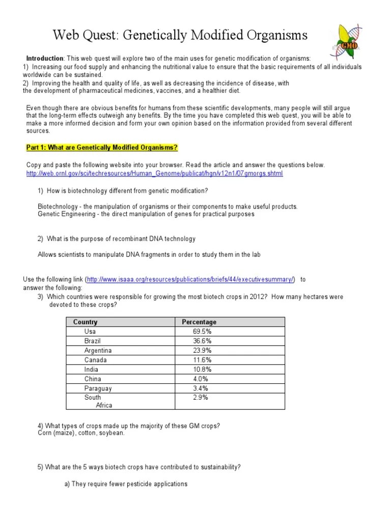 GMO Webquest | PDF | Genetic Engineering | Biotechnology