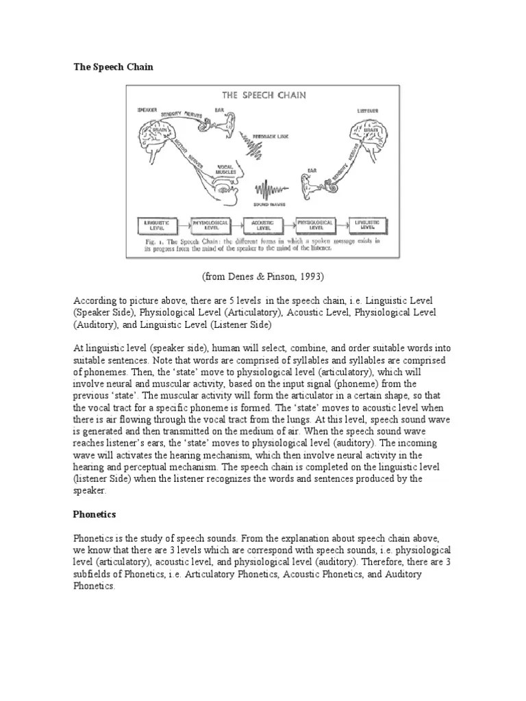 The Speech Chain Speech