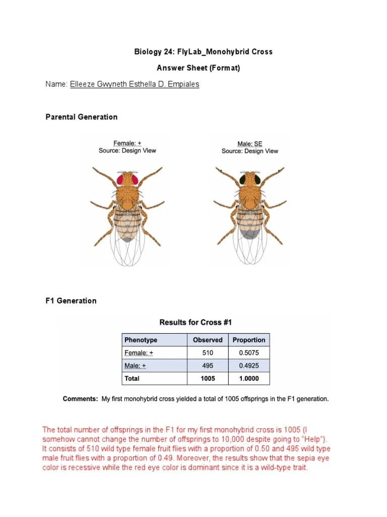Biology 24 Flylab Drosophila Monohybrid Cross Answer Sheet Format