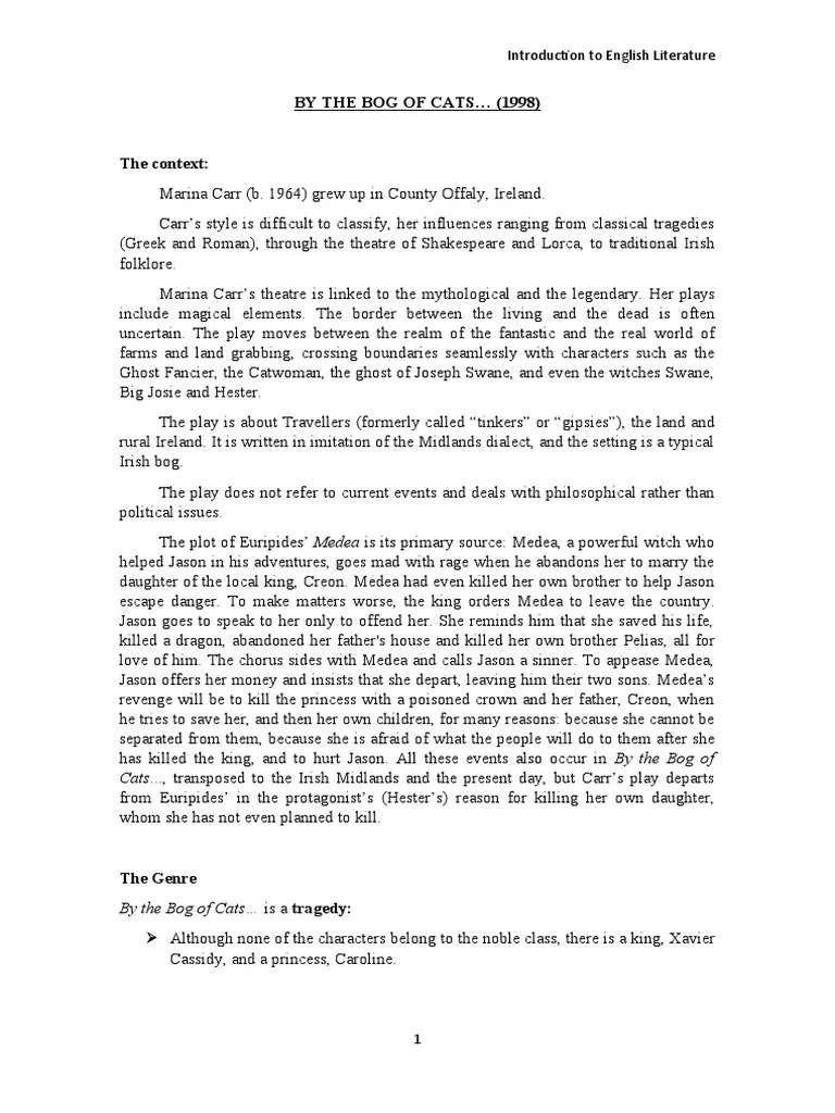 By The Bog of Cats PDF