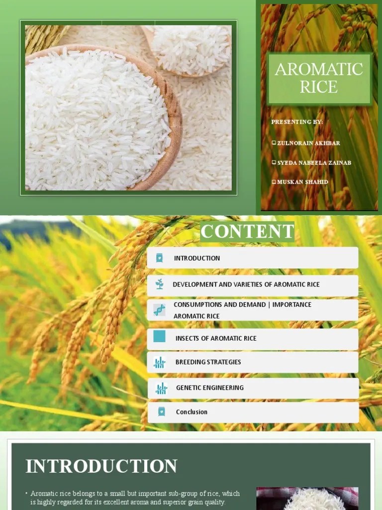Aromatic Rice PDF