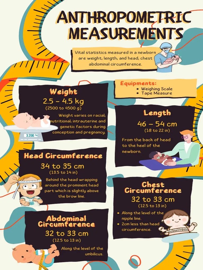 Vital Newborn Measurements An Overview of Weight, Length, Head