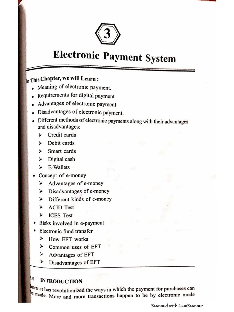 chapter 3 electronic payment system PDF