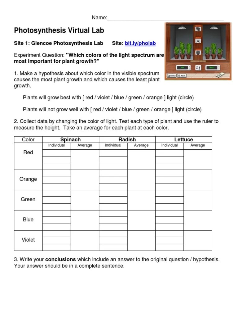 Photosynthesis Simulation | PDF | Photosynthesis | Carbon Dioxide