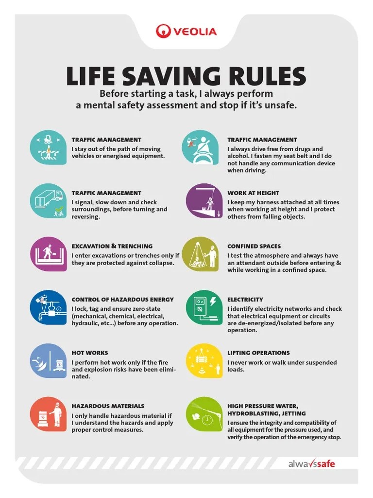 12 life saving rules.pdf PDF