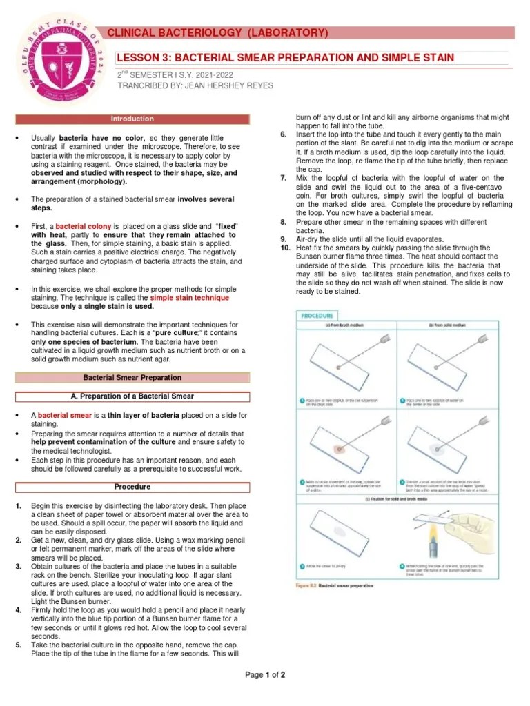 Laboratory 3 Bacterial Smear Preparation and Simple Staining | PDF