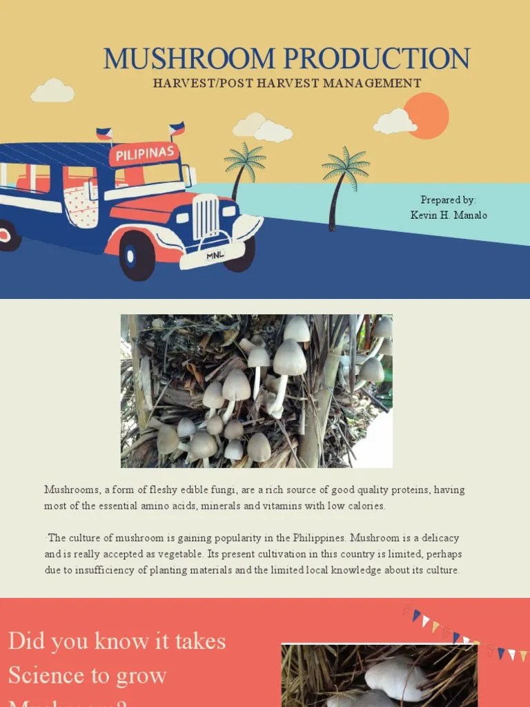 Mushroom PDF Mushroom Shelf Life