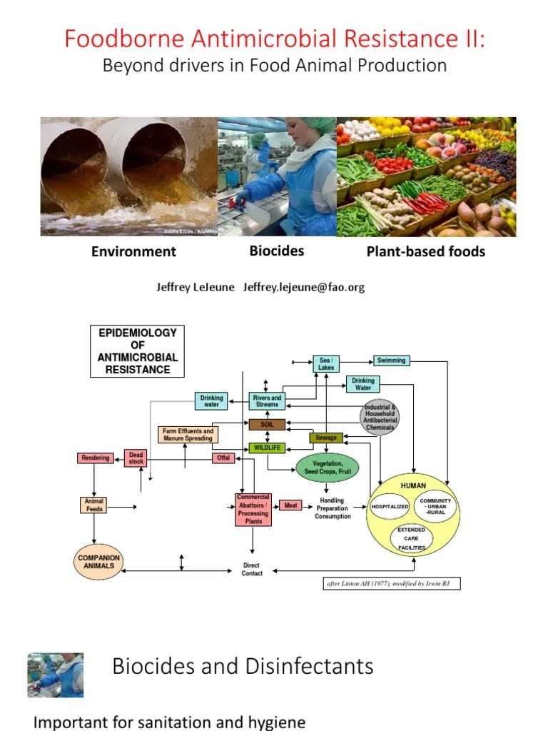 Food of NonAnimal Origin and Food Production Practices (FAO) PDF