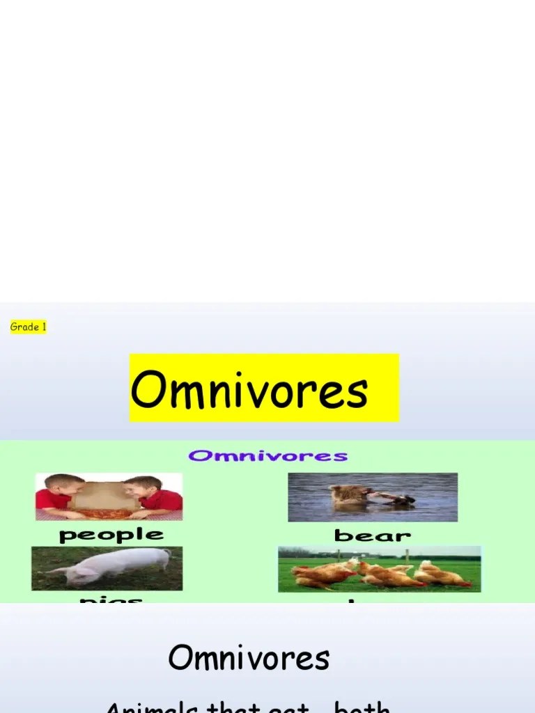 Plants and Animals Live Together (Omnivores) PDF