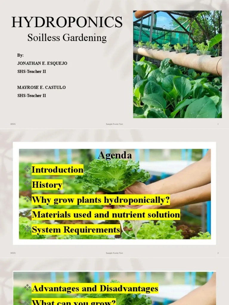 Hydroponics | PDF | Hydroponics | Plant Nutrition