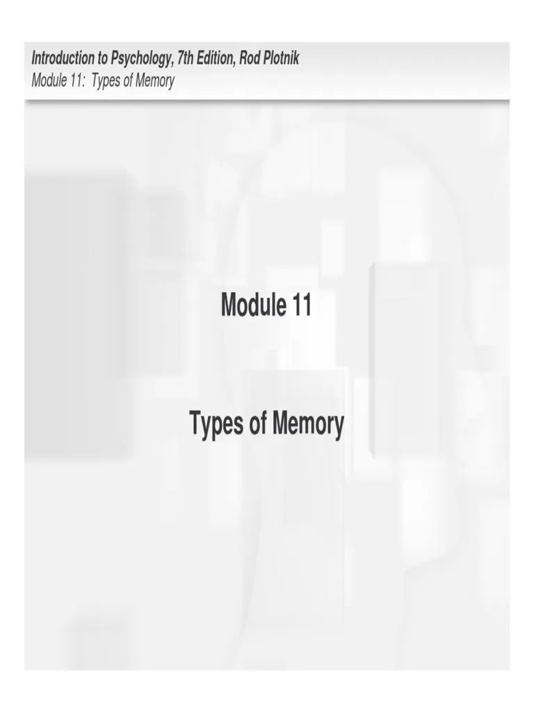 Types of Memory PDF PDF Memory Long Term Memory
