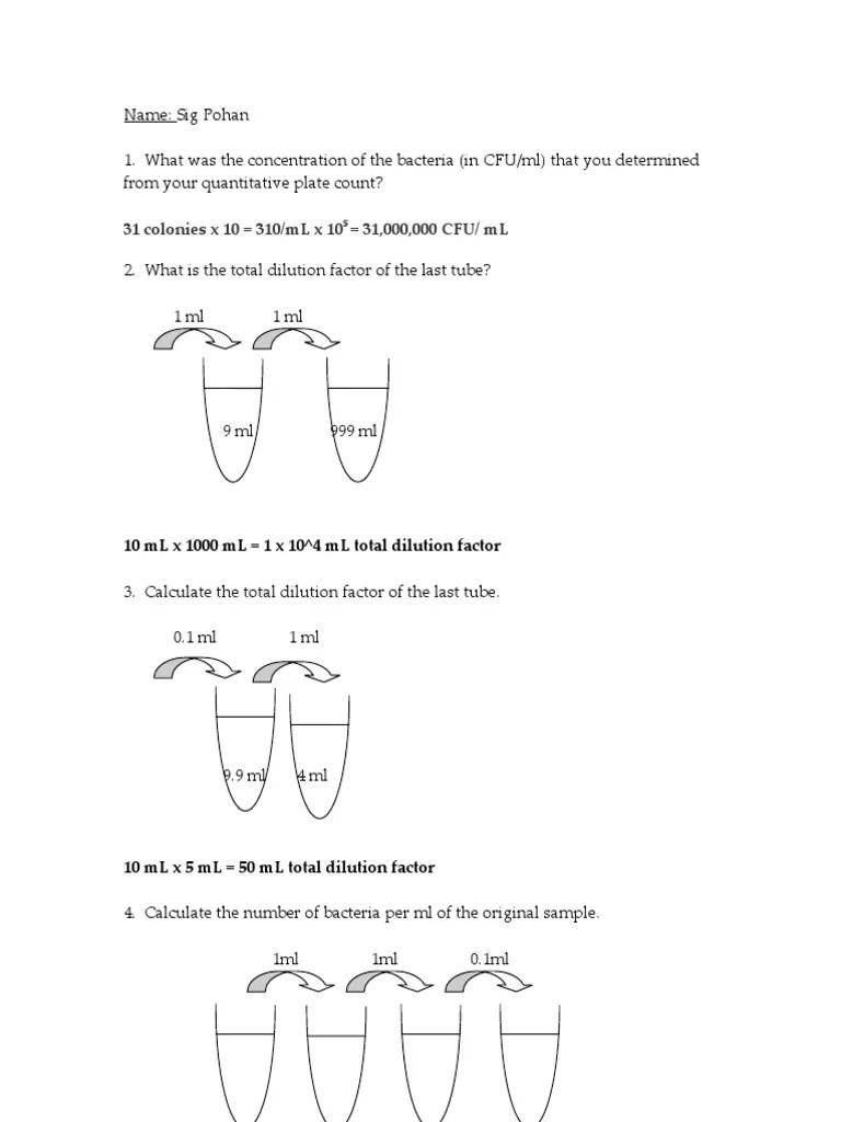 Lab Report Dilutions PDF