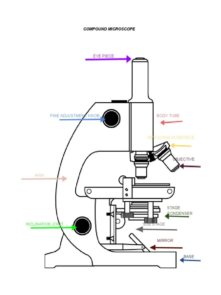 Compound Microscope PDF