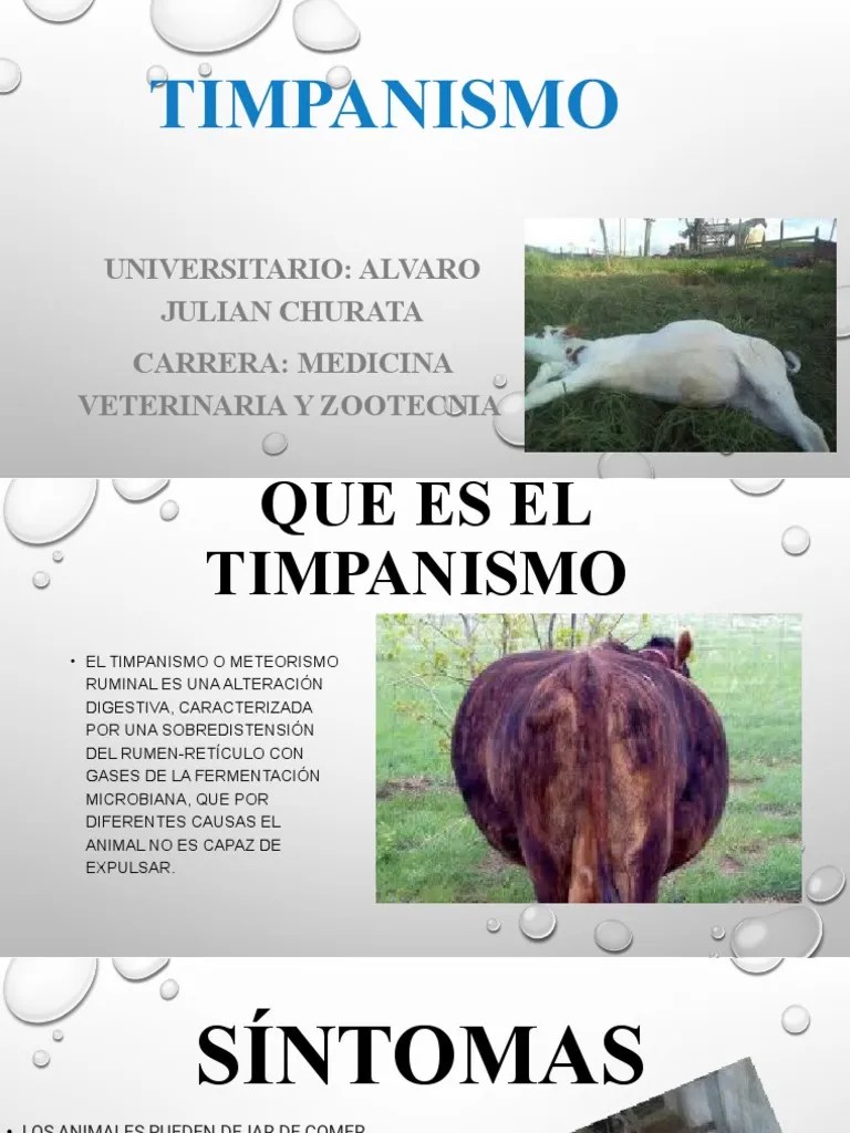 Presentación Timpanismo PDF
