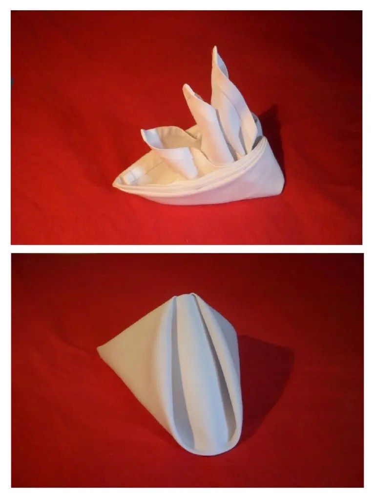 Table Napkin Fold PDF