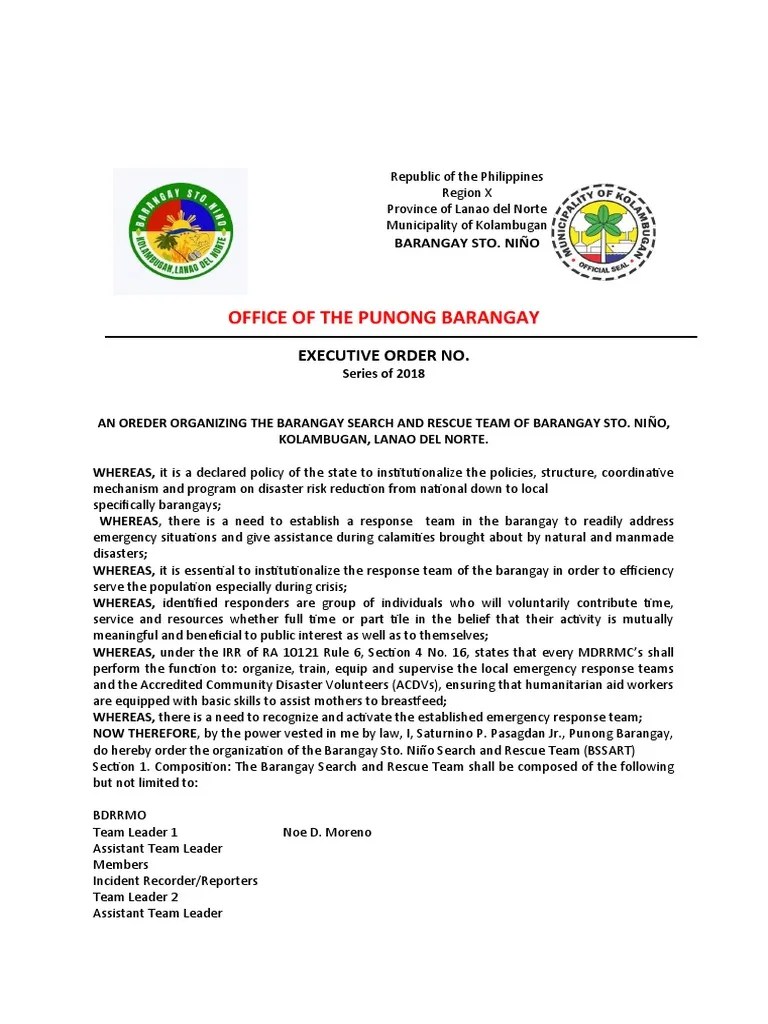 Executive Order No. 7 Series of 2021 (BDRRMC) PDF