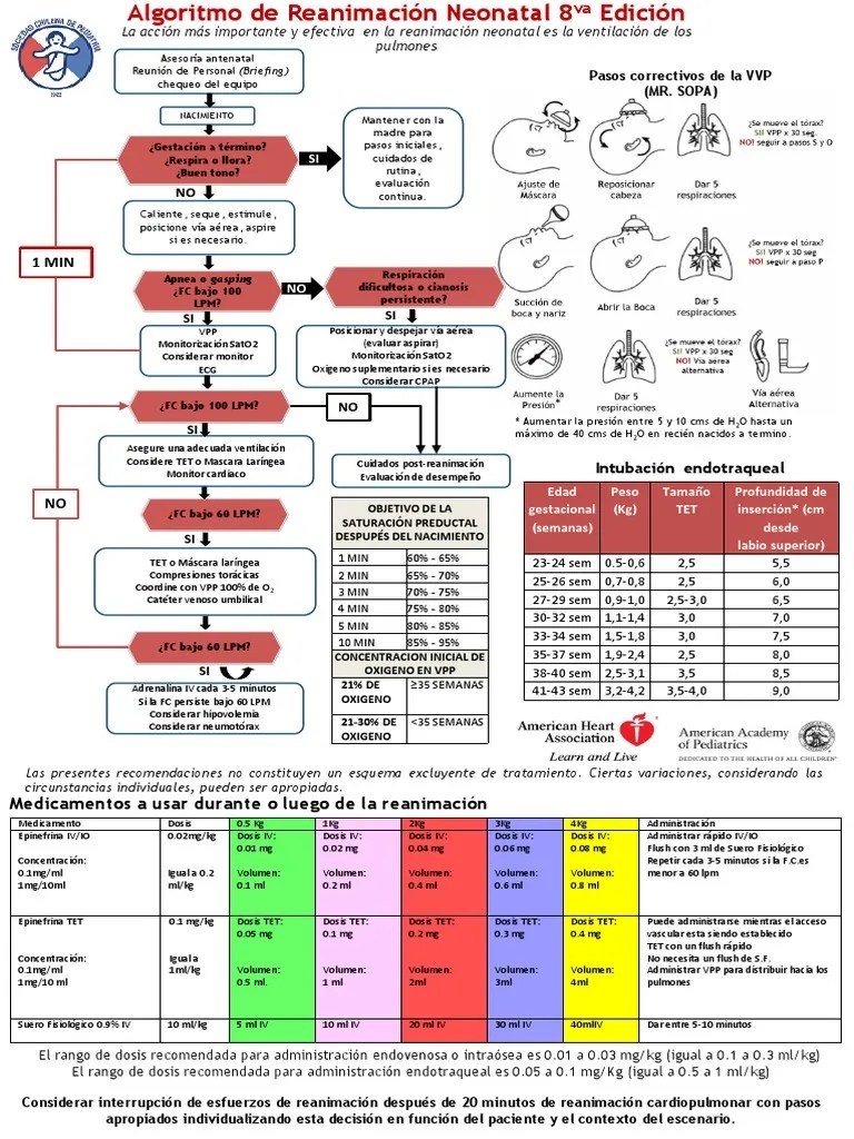 5.1.Algoritmo RCP Neonatal PDF Reanimación cardiopulmonar