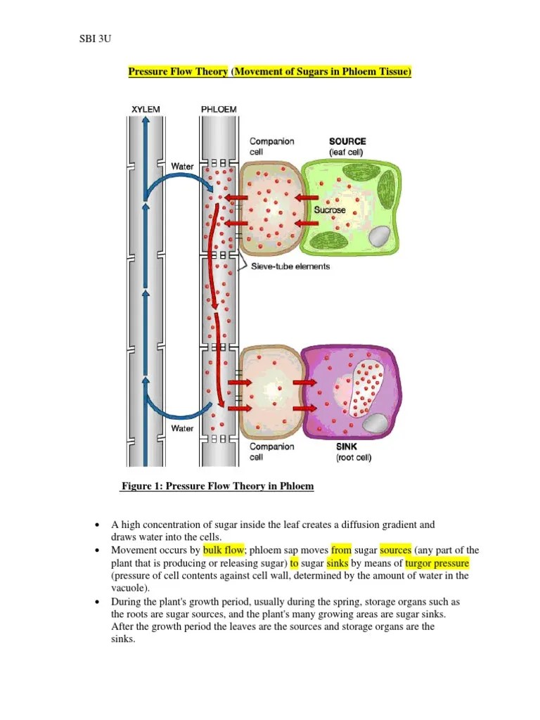 15C-Pressure Flow Theory | PDF