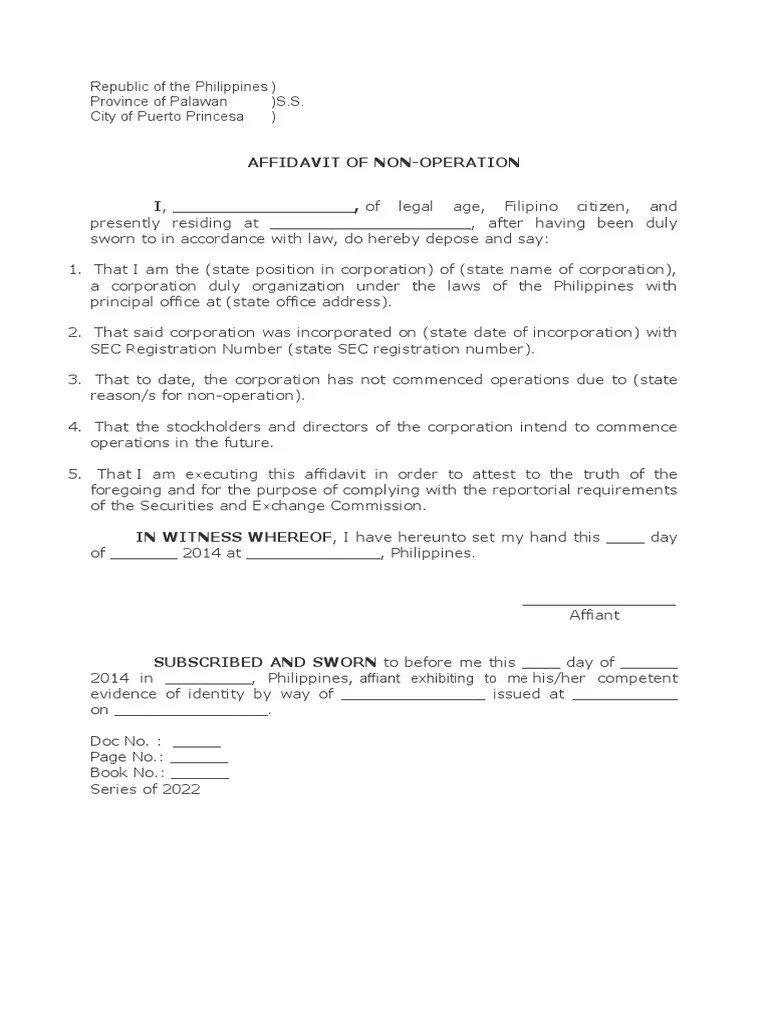 AFFIDAVIT OF NONOPERATION PDF