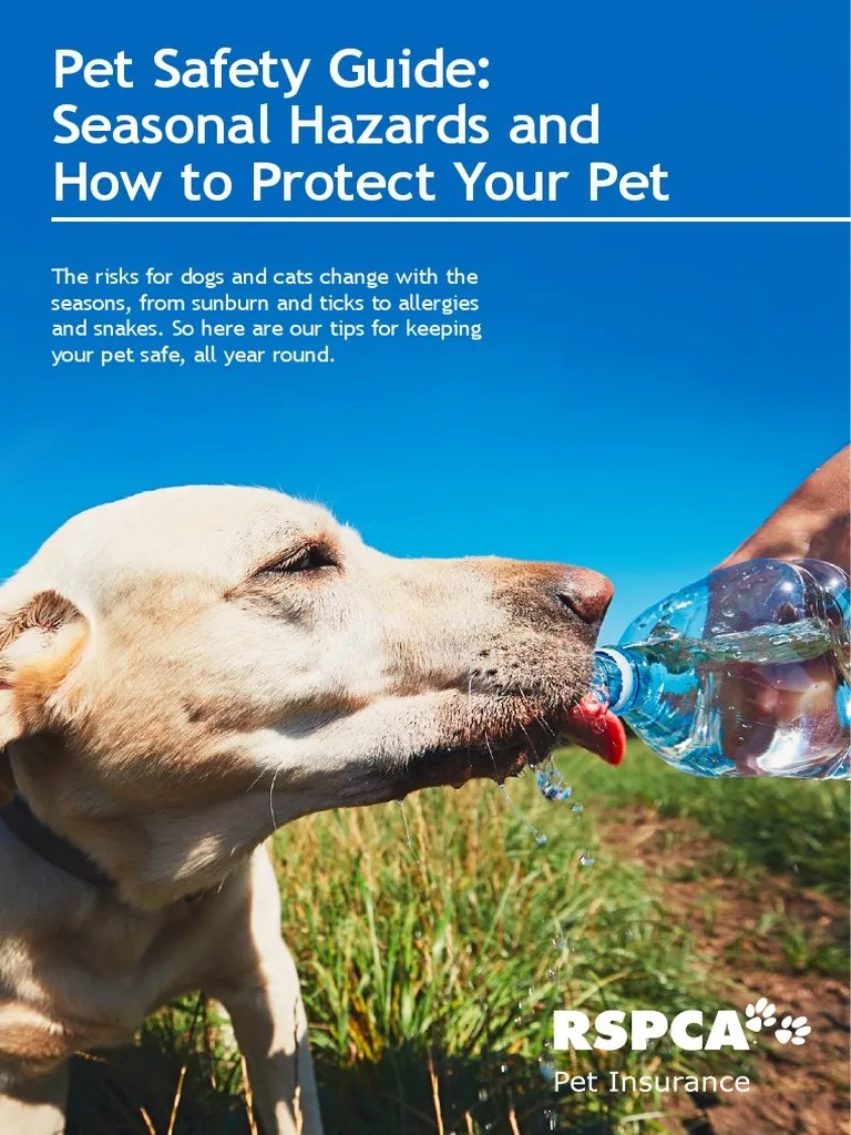 Pet Safety | PDF