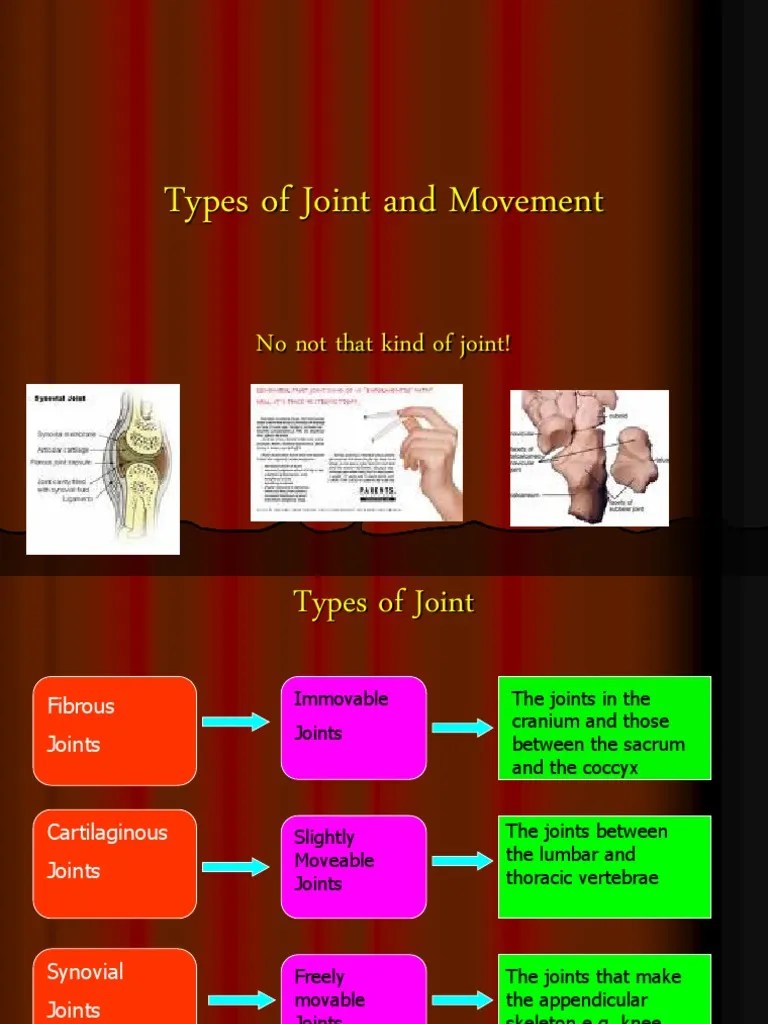 Types of Joint and Movement PDF Anatomical Terms Of Motion Joints