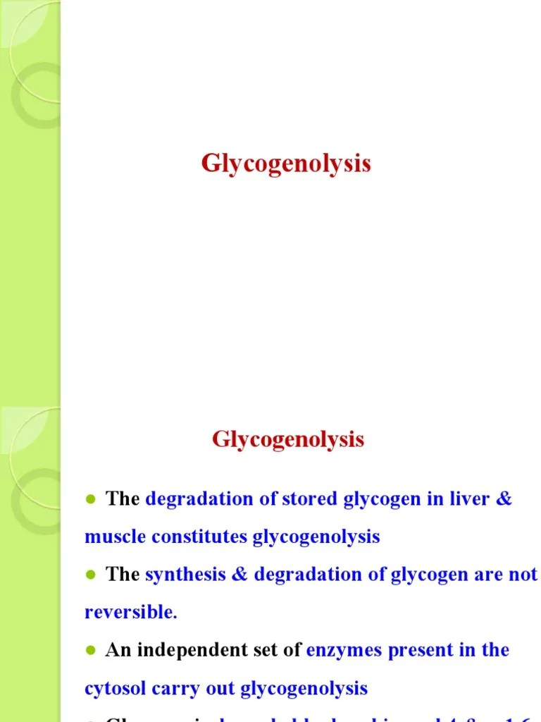 Glycogenolysis PDF Glycogen Phosphorylation