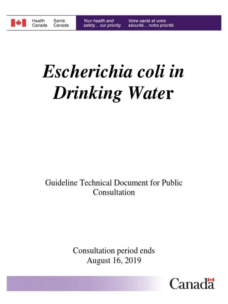Escherichia Coli in Drinking Water Canada PDF Drinking Water