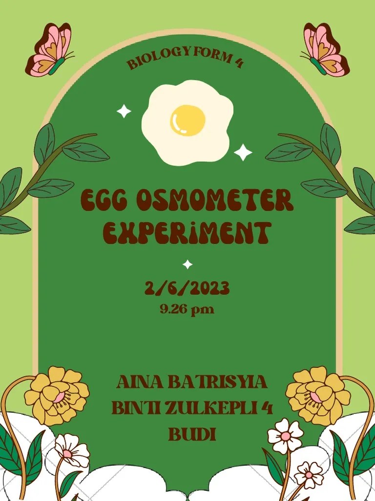 Egg Osmometer Download Free PDF Osmosis Cell Membrane