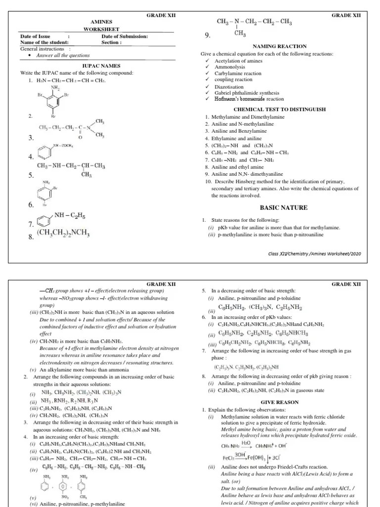 Amines Worksheet Answer Grade 12 | PDF | Amine | Methyl Group