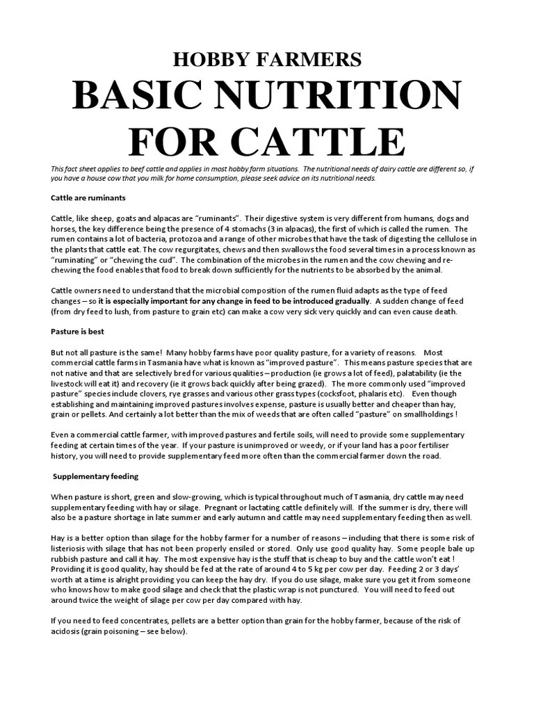 Cattle Feed PDF Ruminant Cattle