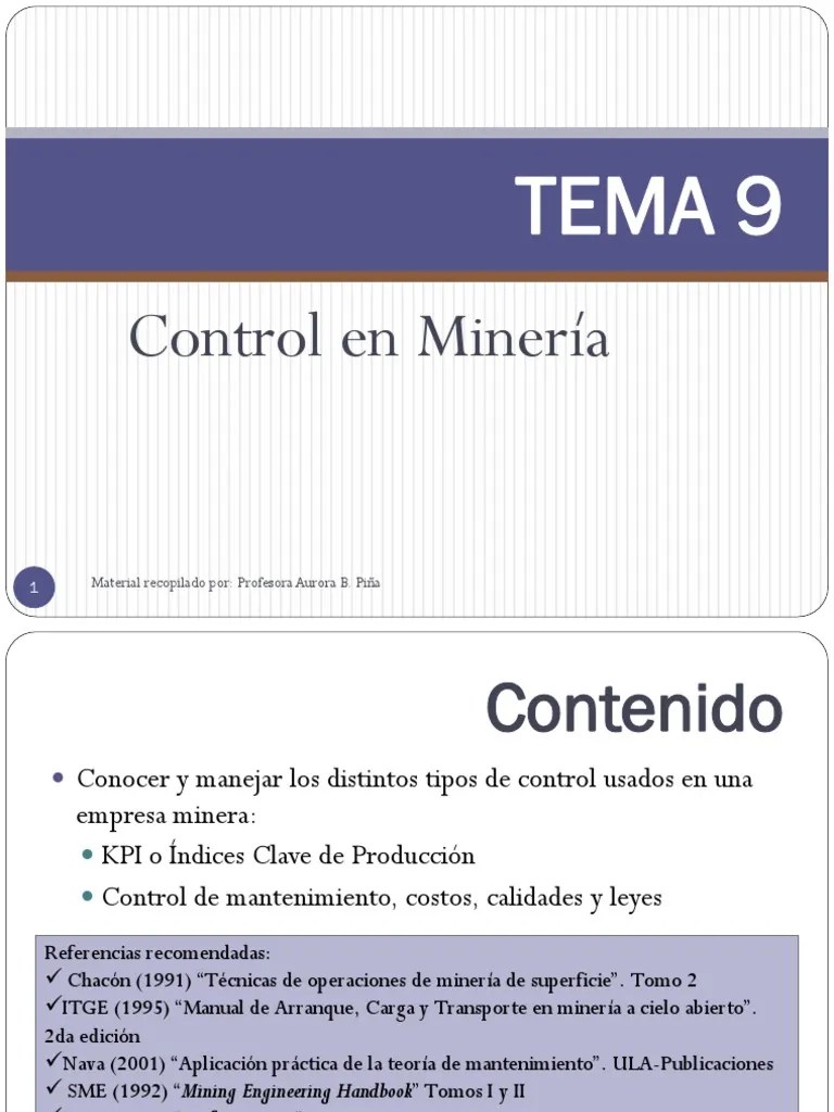 TEMA 9 Control en Minería | PDF | Minería