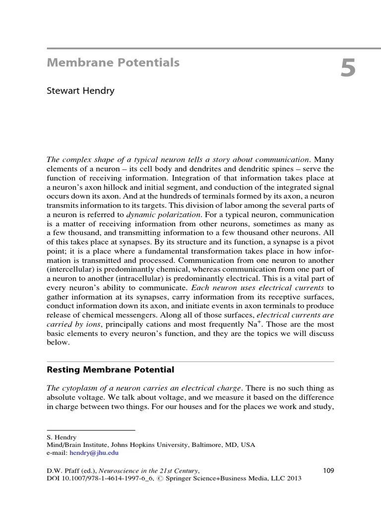 5 Membrane Potentials PDF Chemical Synapse Inhibitory Postsynaptic Potential