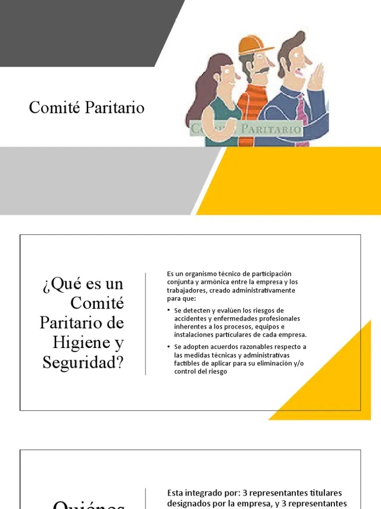 Comité Paritario Funciones y Reuniones PDF