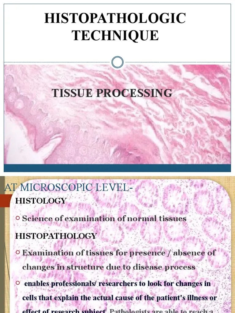 His To Technique PDF Histopathology Fixation (Histology)