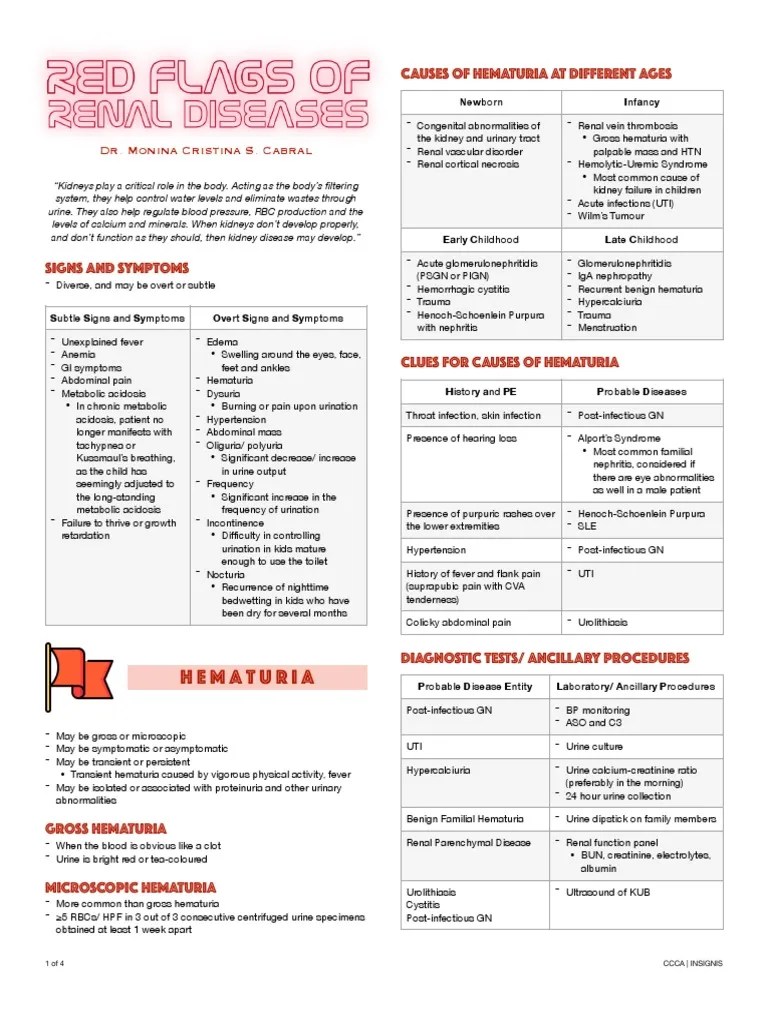 Insignis Pedia Red Flags of Renal Diseases PDF Urinary Tract