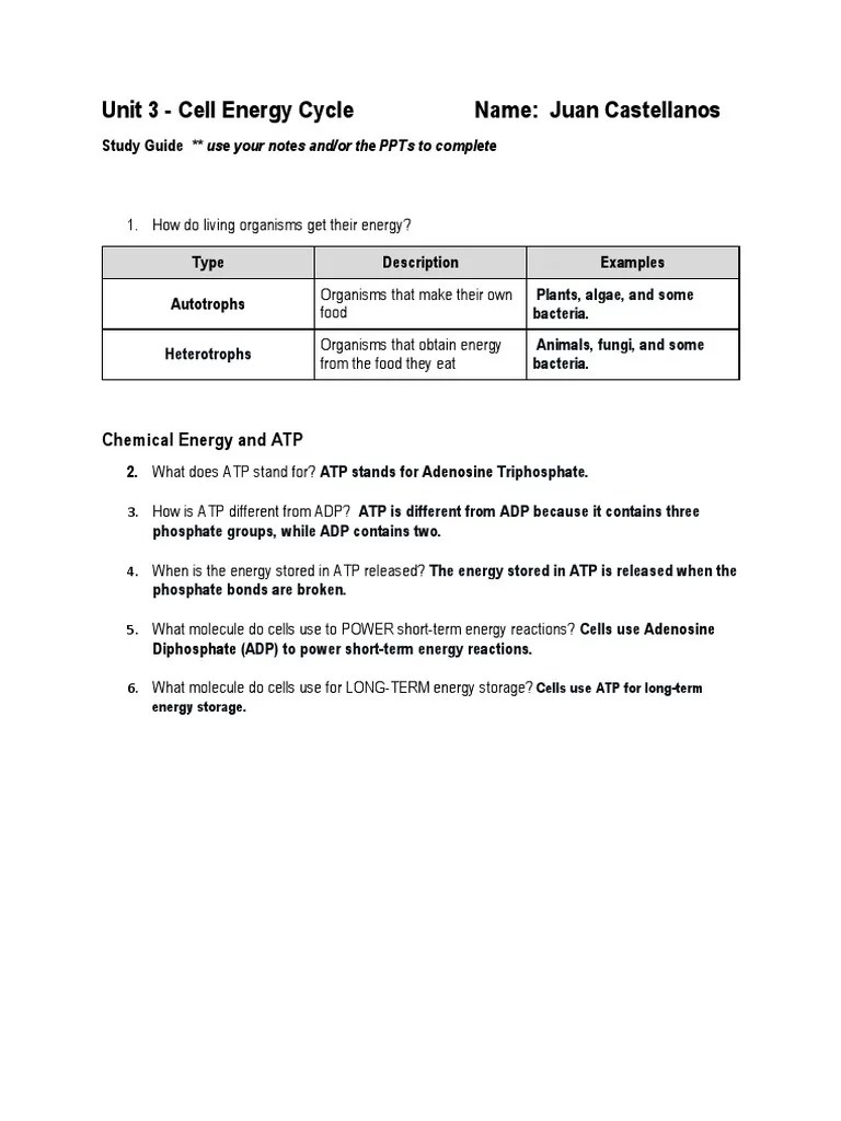 U3 Study Guide CELL ENERGY PDF Cellular Respiration Adenosine