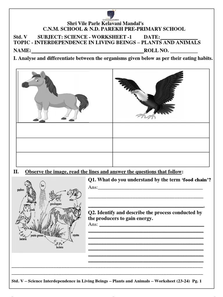 Interdependence in Living Beings Plants and Animals Worksheet 202324 PDF Natural