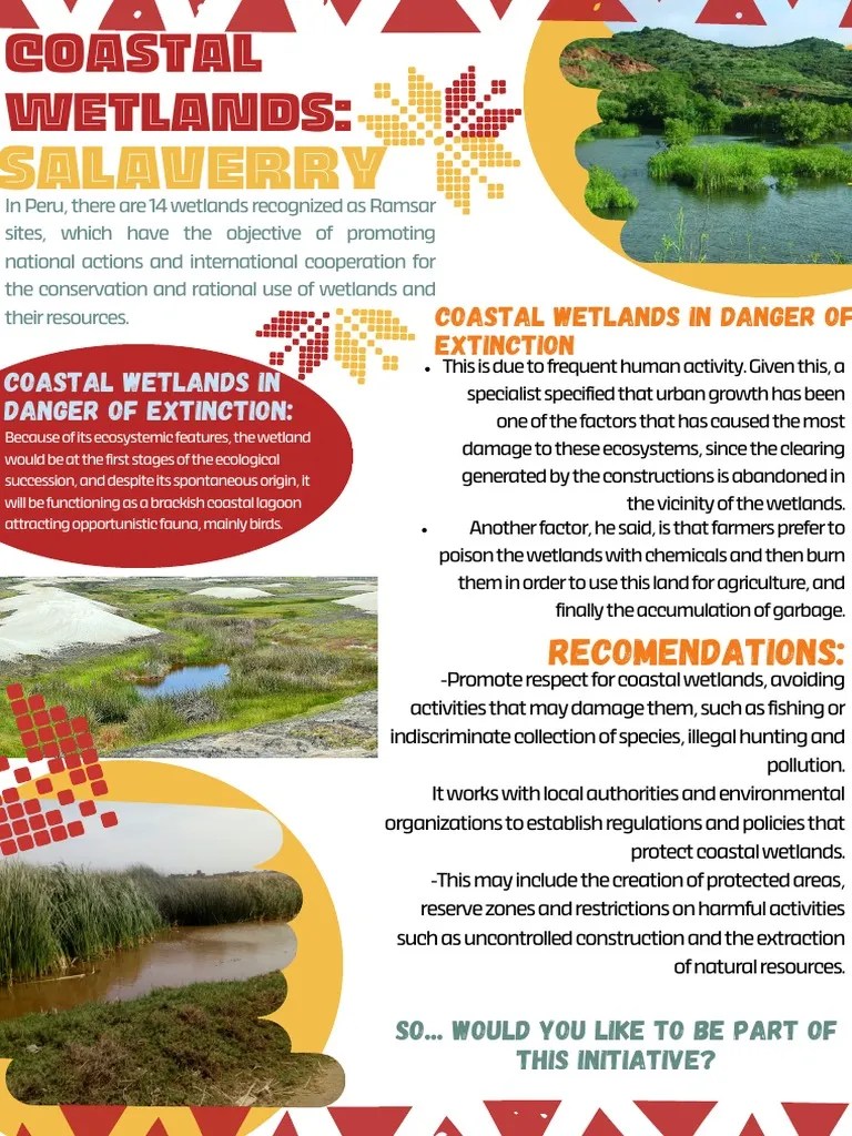 Coastal Wetlands PDF Wetland Human Impact On The Environment