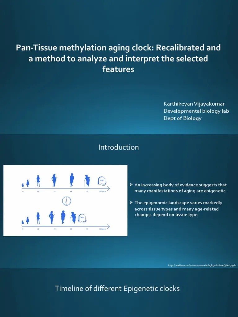 PanTissue Methylation Aging Clock Recalibrated and A Method To
