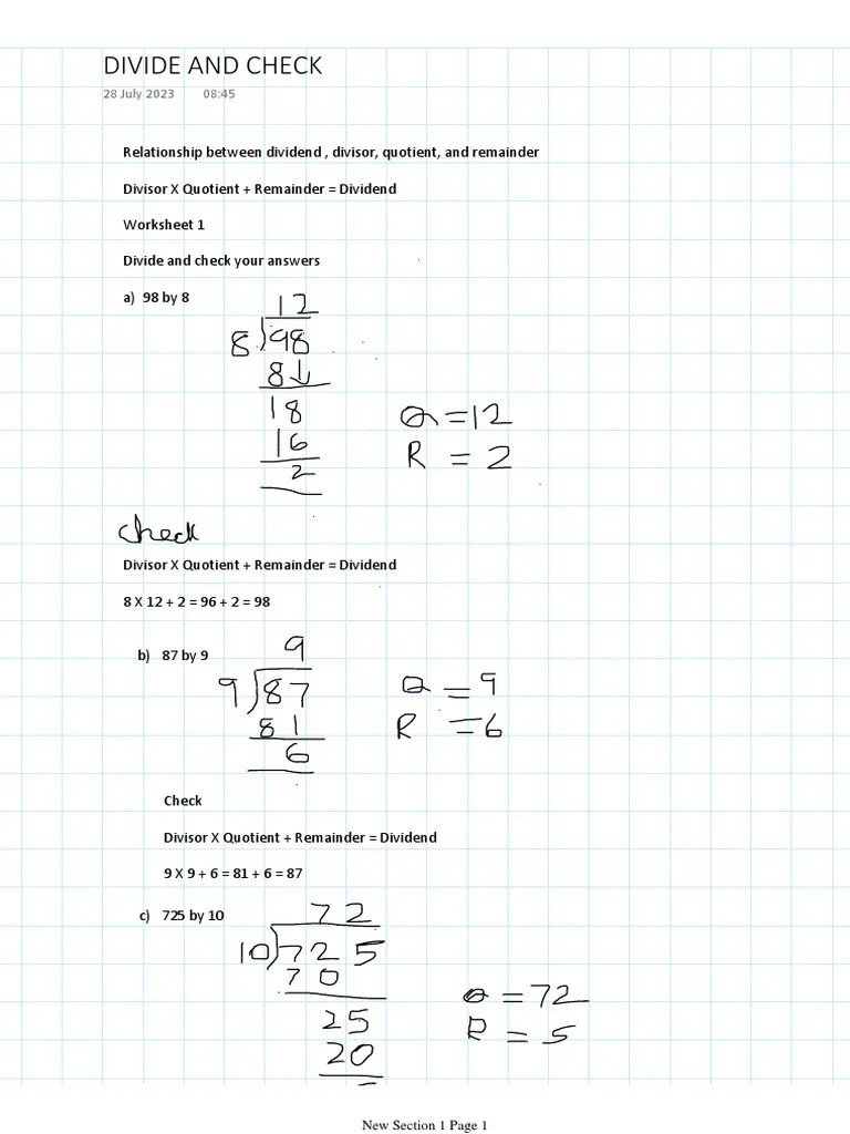 Divide and CheckC 4 PDF