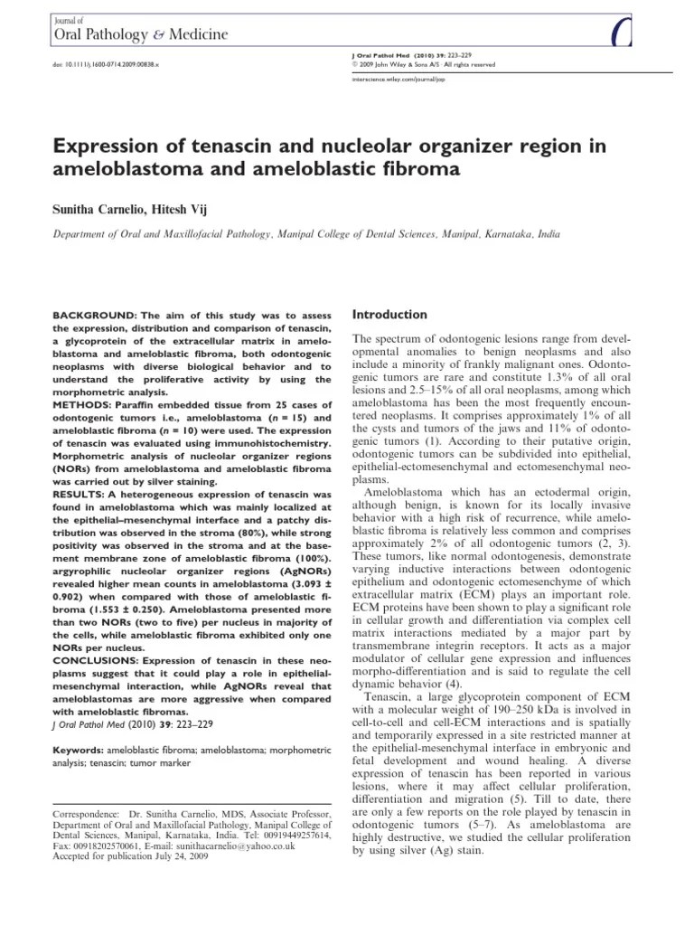 Nucleolar Organizer Region Inameloblastoma and Ameloblastic Fibroma
