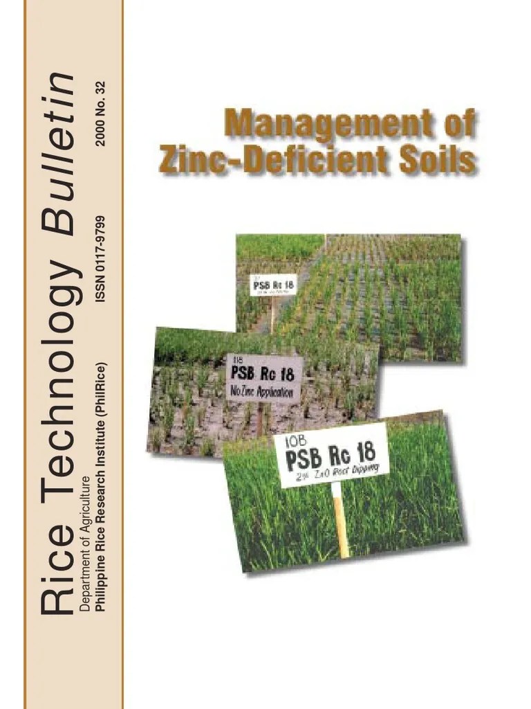 Management of Zinc Deficient Soils PDF Soil Zinc